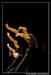 Ballet Biarritz 88133