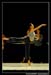 Ballet Biarritz 88153