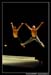 Ballet Biarritz 88282
