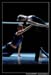 Ballet Biarritz 88383