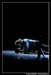 Ballet Biarritz 88429