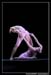 Ballet Biarritz 88538