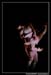 Ballet Biarritz 88605
