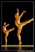 Ballet Biarritz 88633