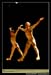 Ballet Biarritz 88648