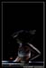 Ballet Biarritz 88697
