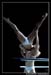 Ballet Biarritz 88748