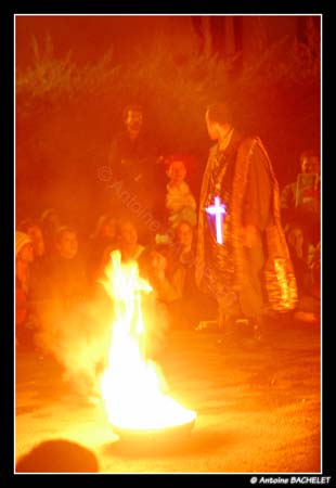 Beaucoup de bruit pour rien 81384