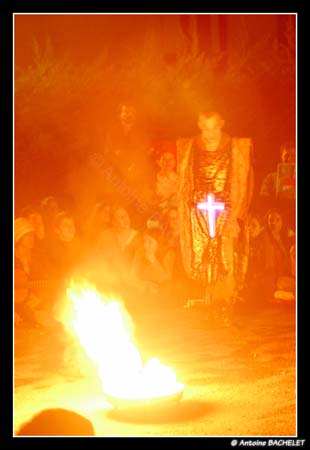 Beaucoup de bruit pour rien 81385
