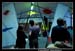 Chainon Instalations 88975
