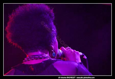 Chainon Jeudi soir 91653