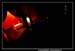 Ambiance 102359