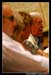 Lecure2 101169