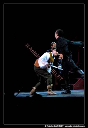 Les 3 Mousquetaires 101479