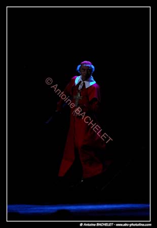 Les 3 Mousquetaires 101731