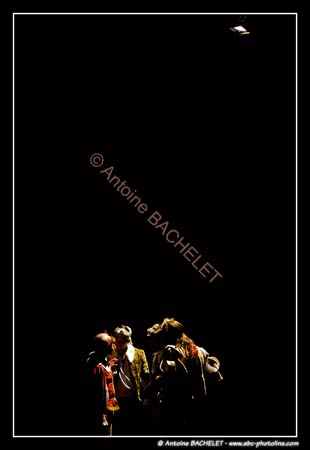 Les 3 Mousquetaires 101845