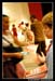 Les 3 Mousquetaires 101381