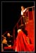 Les 3 Mousquetaires 101405