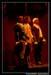 Les 3 Mousquetaires 101515