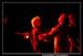 Les 3 Mousquetaires 101555