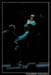 Les 3 Mousquetaires 101730