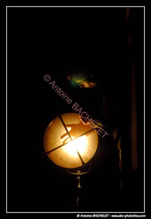 Opera de Maldoror 100613