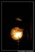 Opera de Maldoror 100613