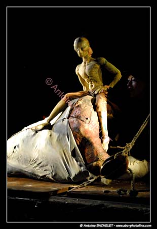 Le bal des Fous Moby Dick 100476