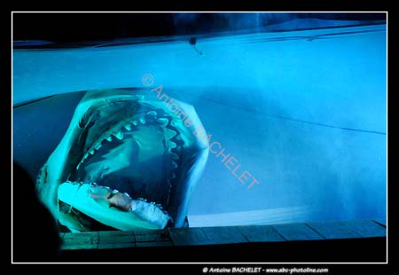 Le bal des Fous Moby Dick 100498