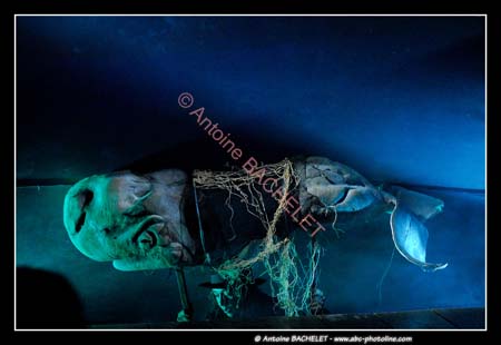 Le bal des Fous Moby Dick 100508