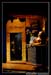 Le bal des Fous Moby Dick 100412