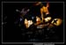 Le bal des Fous Moby Dick 100414