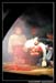 Le bal des Fous Moby Dick 100469