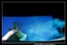 Le bal des Fous Moby Dick 100495