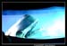 Le bal des Fous Moby Dick 100497