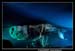 Le bal des Fous Moby Dick 100508