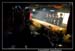 Le bal des Fous Moby Dick 100514
