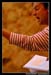 Lecture4 102041
