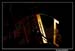 Max PERRONE 85677