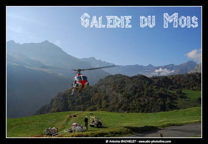 Galerie du mois